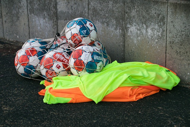 莫耶斯在 莫耶斯在