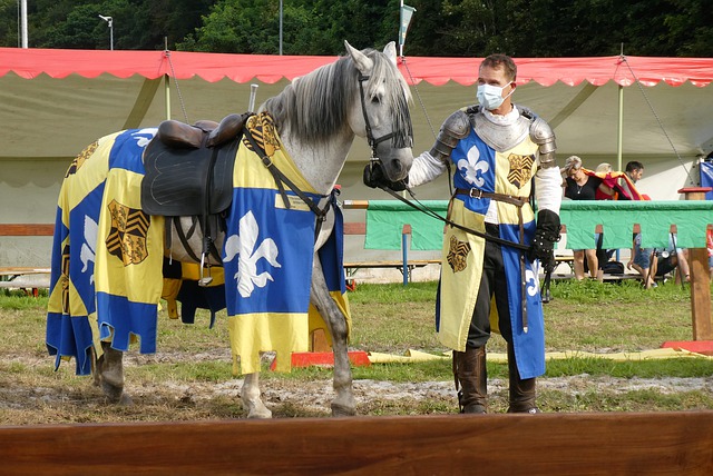 明日热血之战：鹈鹕与快船狭路相逢，谁能燃爆赛场？​.